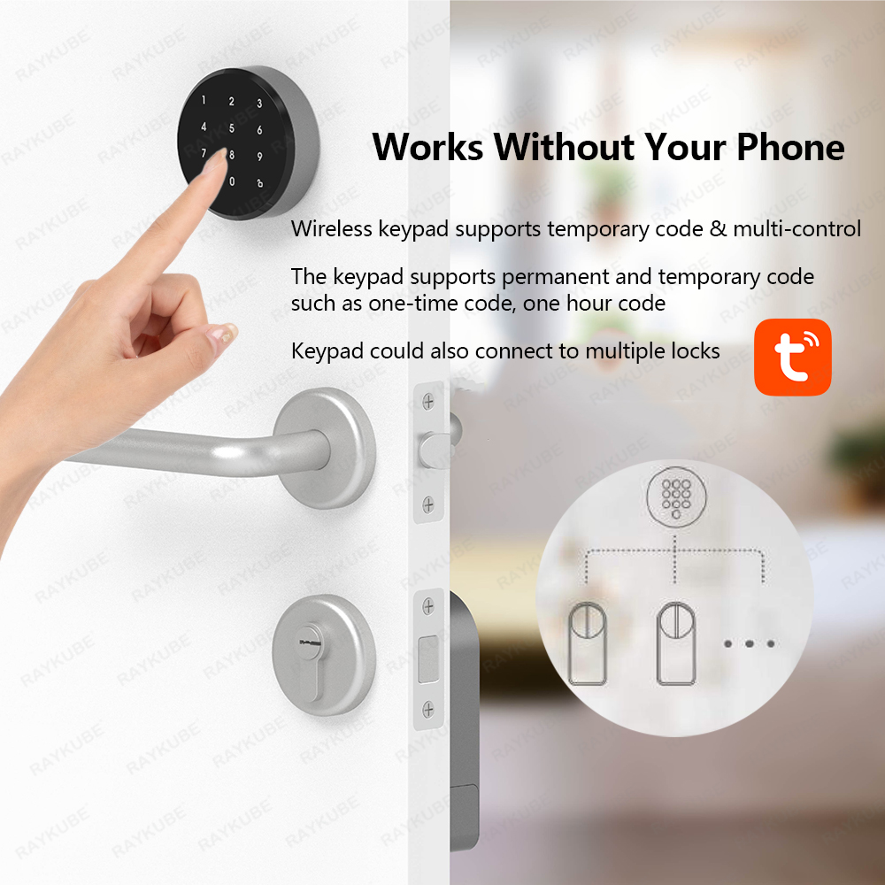 RAYKUBE A1 Pro Tuya BEL Smart  - Smart Door Lock Wifi review and price