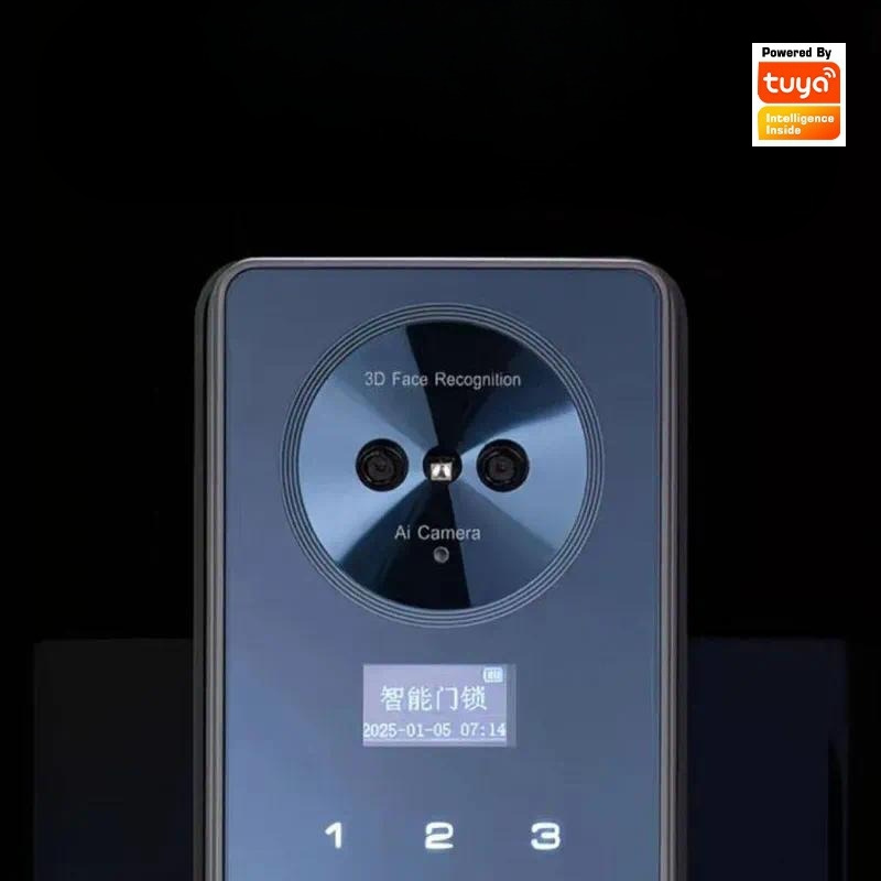 Smart Lock Facial Recognition  - Smart Door Lock Wifi review and price