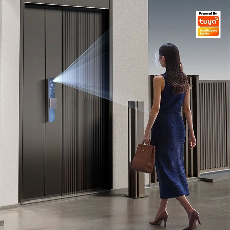 Smart Lock Facial Recognition  - Smart Door Lock Wifi review and price