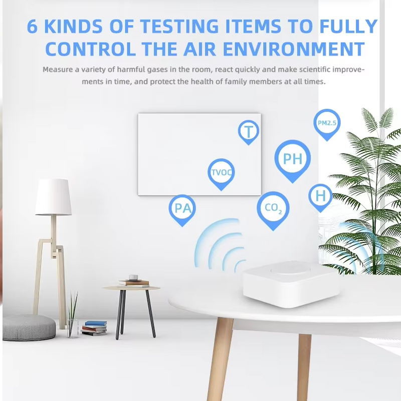 Tuya ZigBee/WiFi Air Quality D - Wifi Thermostat review and price
