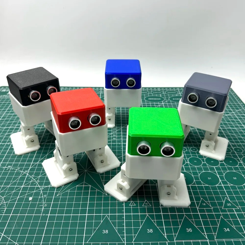 3D Printed Biped Walking Robot - Stem Robotics Kit review and price