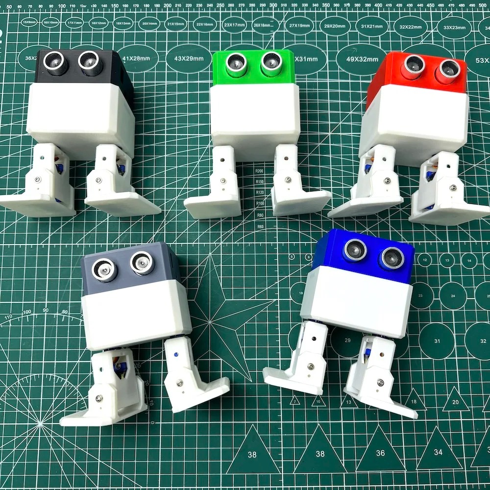 3D Printed Biped Walking Robot - Stem Robotics Kit review and price